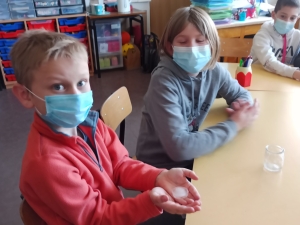 Les sciences en CE2