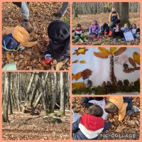 Sortie au parc naturel de Chambaran