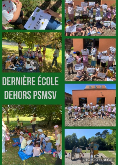 Dernière sortie en Ecole du dehors pour la classe verte.