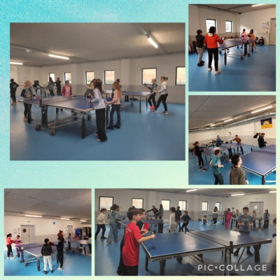 Début du cycle tennis de table