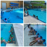 2&egrave; jour de piscine pour les MS