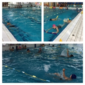 Cycle natation CM2