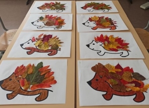 hérisson d&#039;automne