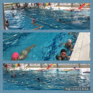 Poursuite du cycle natation - classes de CM2