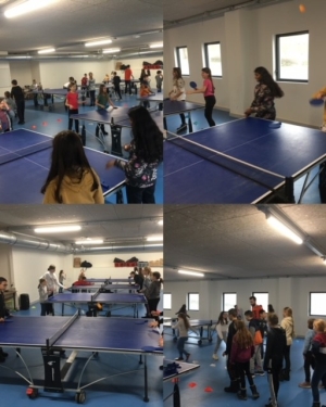 Cycle tennis de table en CM2