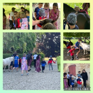 Visite aux poneys