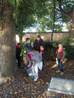 Récolte d&#039;automne