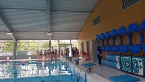 Cycle piscine